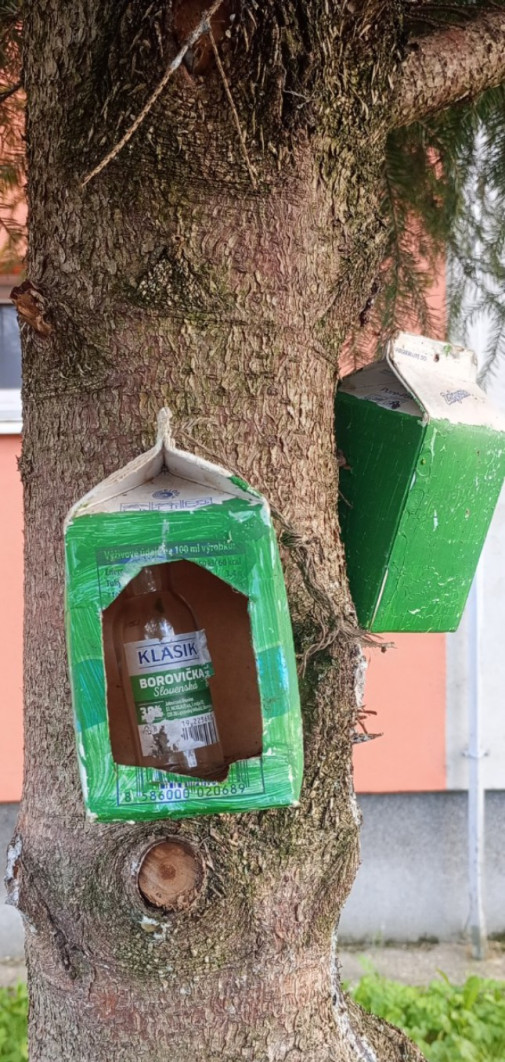 Prikrmovanie miestneho vtáctva