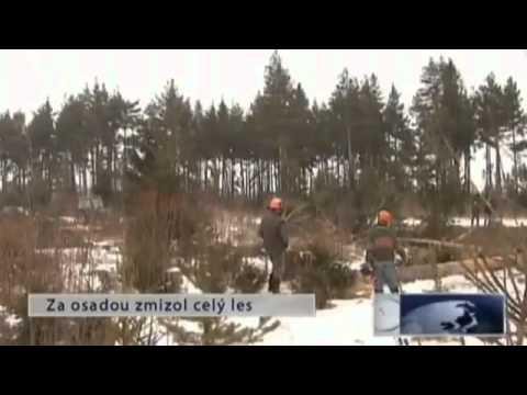 Záhada blair witch